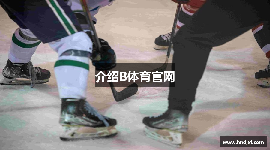 介绍B体育官网